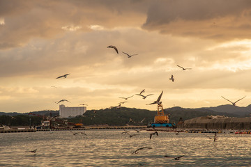 冬の夕暮れの鐘崎港【福岡県】