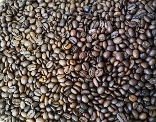 Many coffee beans