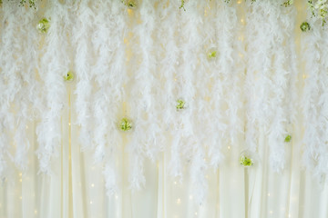 Warm soft light feather backdrop with flower for event or wedding decoration