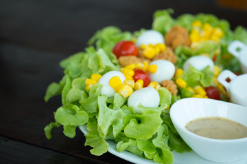 Fresh salad with green oak lettuce food organic vegetable