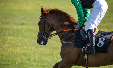 Close up detail on running race horse and jockey