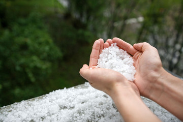 Holding freezing granulated hail ice crystals, grains in hands after strong hailstorm in autumn, fall. First snow in early winter. Cold weather. 