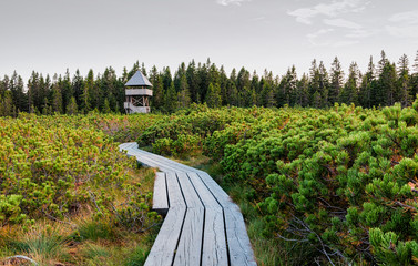 Lovrenska lakes -Slovenia