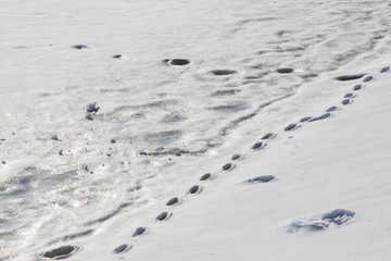 people walk on melted ice