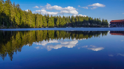 forest mirror in lake blue sky with clouds