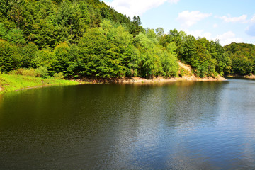 lake in forest