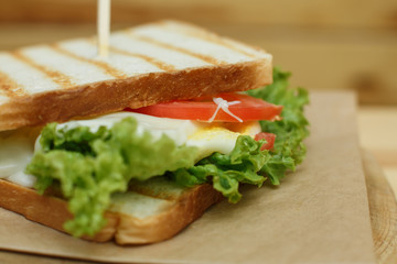 Closeup juicy sandwich with bacon, fresh vegetables, green salad and dark lines after grill