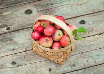 red Apples in pottle on wooden background