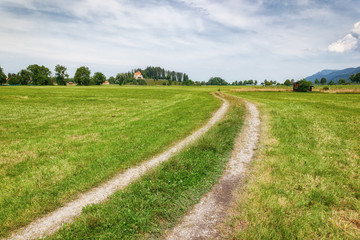 Fototapeta na wymiar bavaria landscape green meadow