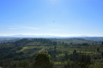 Fototapeta na wymiar Green fields of Tuscan