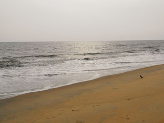 Indian ocean coast Arabian sea in Kochi, Kerala, India