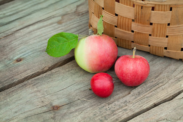 red Apples in pottle on wooden background