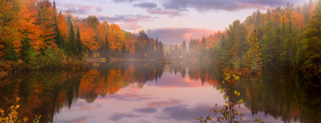 Naklejka premium Panoramiczny widok na malowniczy krajobraz jesienny