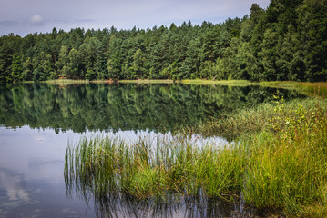So called Clean Lake or Bright Lake in Ilawa lakeland region, Poland
