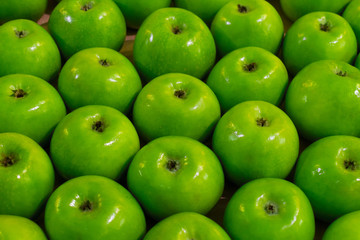 Green apples neatly laid out on the counter. View from above