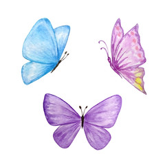 three watercolor butterflies