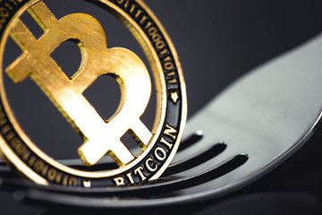 bitcoin crytocurrency coin on the fork
