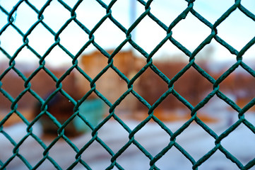 Texture the old cage metal net against sad moody background. Concept of prohibitions and obstacles in the vision of man
