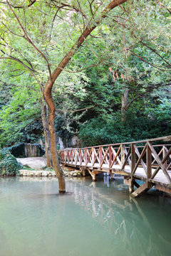 Bridge on the Stream