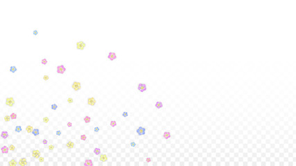 Colorful Vector Realistic Petals Falling on Transparent Background.  Spring Romantic Flowers Illustration. Flying Petals. Sakura Spa Design. Blossom Confetti. Design Elements for Wedding Decoration.