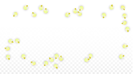 Vector Realistic Pink Petals Falling on Transparent Background.  Spring Romantic Flowers Illustration. Flying Petals. Sakura Spa Design. Blossom Confetti.