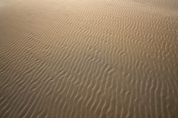 Dunes beach sand texture in Costa Dorada