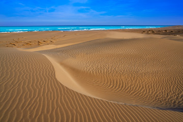 Delta del Ebro beach Punta del Fangar