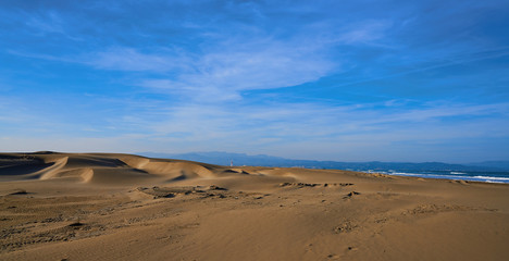 Fototapeta na wymiar Delta del Ebro beach Punta del Fangar