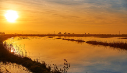 Delta del Ebro Ebre sunset in Deltebre