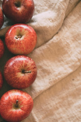 Red apples background. Ripe fresh apples in top view with copy space. 