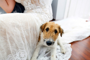 bride with dog