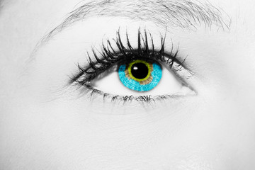 A beautiful insightful look eye. Close up shot