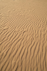Dunes sand texture in Costa Dorada