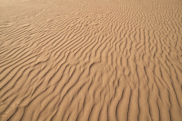 Dunes sand texture in Costa Dorada