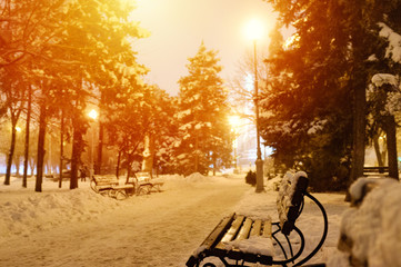 Beautiful snowy evening in the park. Amazing firs in the snow. Golden light bulbs. Romantic mood. Concept of the place you want to get in the winter. Trendy style