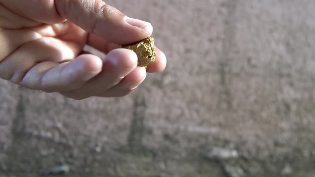Slow motion The pure gold ore found in the mine in the hand of men