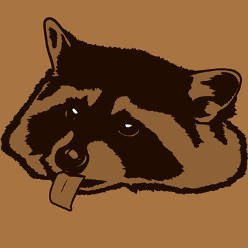 Decorative portrait of raccoon
