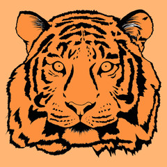 Decorative portrait of tiger