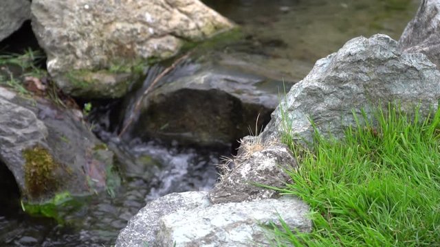 Slow motion Flowing water stream, water drops and reflection