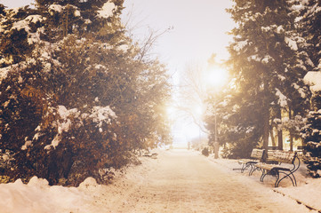 Beautiful snowy evening in the park. Amazing firs in the snow. Golden light bulbs. Romantic mood. Concept of the place you want to get in the winter. Magazine style color