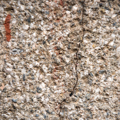 Crack in the concrete wall