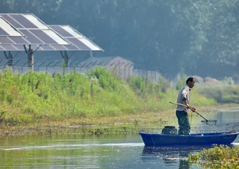 Foto op Canvas Fisherman rowing in solar photovoltaic zone © jeson