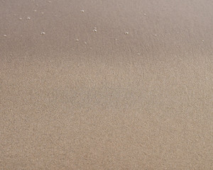 Sea sand texture