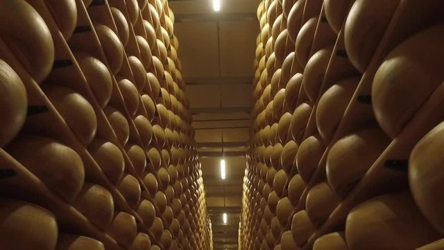 Cheese