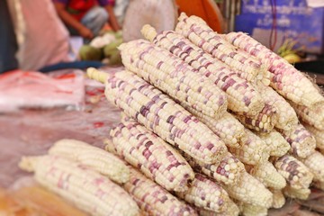 fresh corn at the market