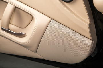 Close up of speaker on sports car door