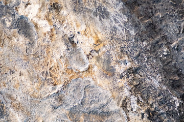 texture of stone