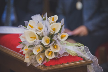 fiori calla