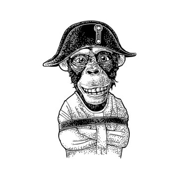 Monkey dressed in the french military uniform and cap. Vintage black engraving