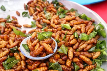 Fried insect at street food